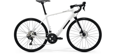 Bici da corsa elettriche